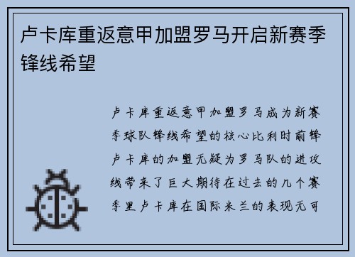 卢卡库重返意甲加盟罗马开启新赛季锋线希望